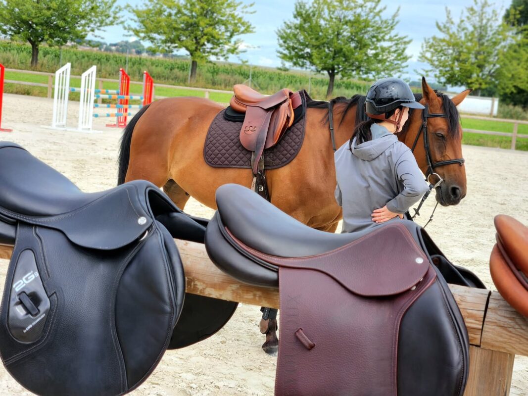 Endurance and Trail Saddles