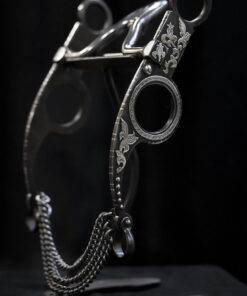 Preston Williams Bit