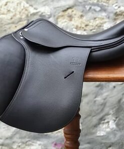ANTARÈS ALTAÏR 17"